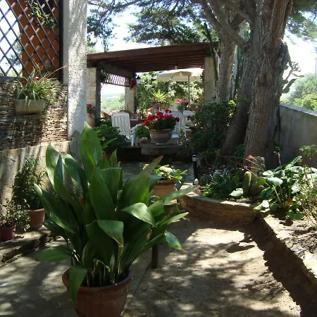 Solmar Apartment Palmadula