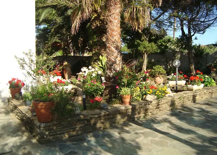 Solmar Apartamento Palmadula