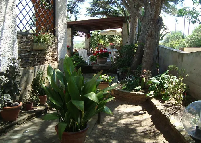 Solmar Apartamento Palmadula